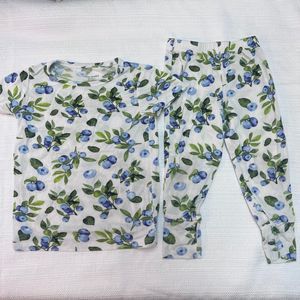 HTF Posh Peanut Carolina Blueberry Pajamas 12-18 Months